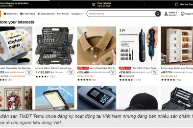 Rủi ro khi mua hàng hóa trên sàn thương mại điện tử chưa đăng ký