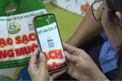 Đồng bộ dữ liệu giữa các hệ thống truy xuất nguồn gốc và Cổng truy xuất nguồn gốc quốc gia