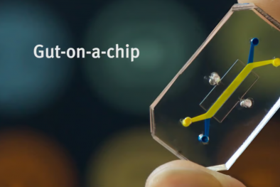 Trung Quốc ban hành tiêu chuẩn quốc gia đầu tiên cho công nghệ chip nội tạng