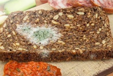 Độc tố aflatoxin có thể gây ảnh hưởng nghiêm trọng đến sức khỏe