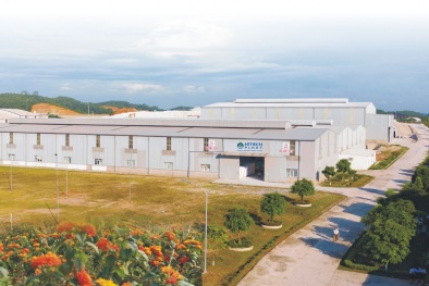 Công ty Cổ phần Nhựa Công nghệ cao bị phạt do vi phạm môi trường