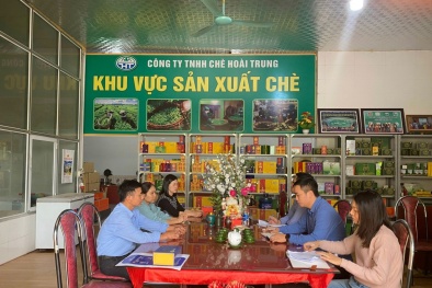 Phú Thọ: Nâng cao chất lượng sản phẩm với hệ thống quản lý, công cụ cải tiến NSCL