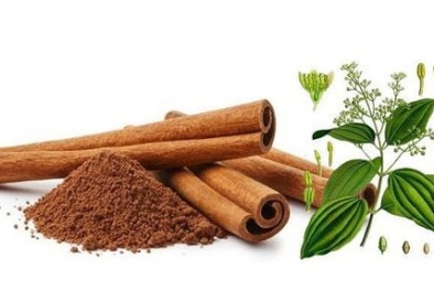 Bác sĩ chia sẻ lợi ích của quế trong việc hỗ trợ phòng ngừa bệnh ung thư