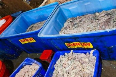 Hàng tấn thực phẩm bẩn bị phát hiện tại các cơ sở giết mổ, chế biến