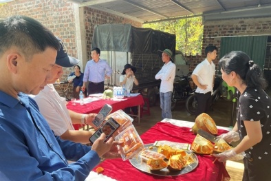 Quảng Bình tăng tốc phát triển sản phẩm OCOP với công nghệ hiện đại