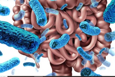 Vụ ngộ độc thực phẩm tại Lào Cai: Chủ cơ sở bị phạt 83 triệu đồng