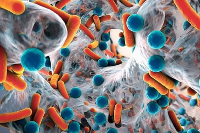 Phát hiện virus và hợp chất mới có thể tiêu diệt siêu vi khuẩn kháng thuốc