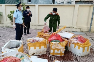 Đồng Nai tạm giữ  4 tấn nội tạng động vật không rõ nguồn gốc bốc mùi hôi thối