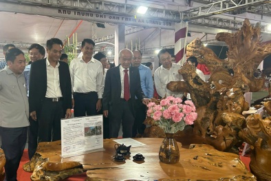 Hà Nội: Triển lãm các sản phẩm, mẫu thiết kế hàng TCMN mới, sáng tạo huyện Thạch Thất 