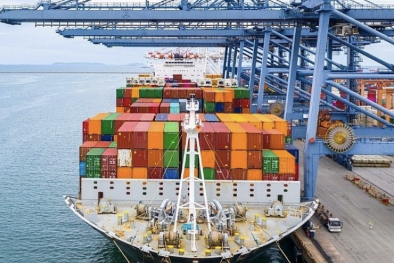 Mở rộng cơ hội thúc đẩy xuất khẩu hàng hóa sang thị trường Hà Lan