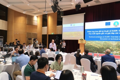 EU lùi thời gian thực thi quy định EUDR quản lý sản xuất hợp pháp và không gây mất rừng