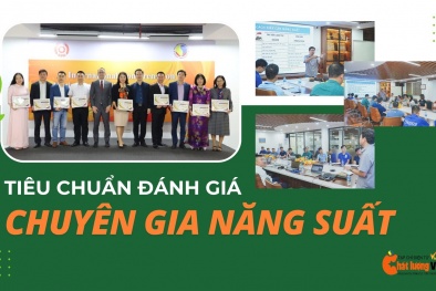 Longform: Hài hòa tiêu chuẩn quốc gia với tiêu chuẩn quốc tế về đánh giá chuyên gia năng suất 