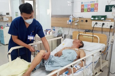 Strychnin có trong hạt mã tiền gây nguy hiểm tính mạng?