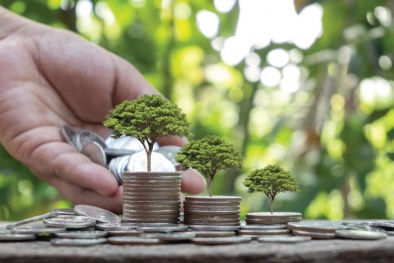 Chuyên gia nêu giải pháp phát triển tín dụng xanh bền vững tại Việt Nam