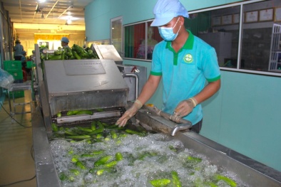 Long An đẩy mạnh ứng dụng tiến bộ khoa học - kỹ thuật trong phát triển nông nghiệp