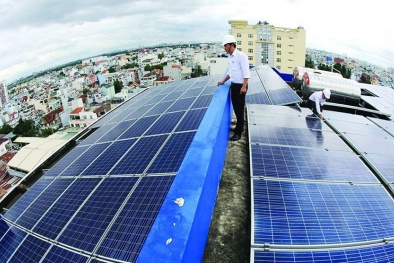 Thuận lợi và thách thức trong phát triển thị trường tài chính xanh Việt Nam