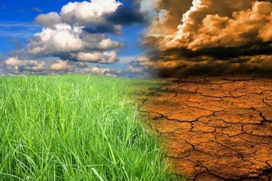 Ban hành kế hoạch quốc gia thích ứng với biến đổi khí hậu