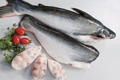 Ngành cá tra hướng tới xanh hóa quy trình chế biến và sản xuất  