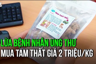 Lừa bệnh nhân ung thư mua tam thất giá 2 triệu/kg