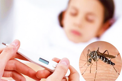 Sốt xuất huyết tiếp tục tăng, nhiều ca biến chứng nặng