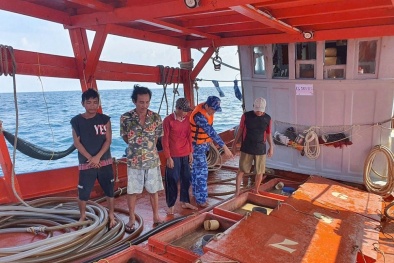 Triệu hồi loạt xe Honda bị lỏng bu-lông ghế ngồi tại thị trường Mỹ