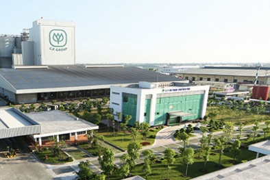 Xử phạt Công ty Cổ phần Chăn nuôi C.P Việt Nam vi phạm trong lĩnh vực môi trường