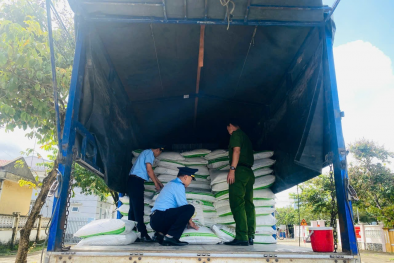 Phú Yên tạm giữ 35 tấn đường kính không hóa đơn chứng từ hợp pháp kèm theo