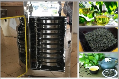 Ứng dụng công nghệ mới nâng cao chất lượng sản phẩm chè xuất khẩu