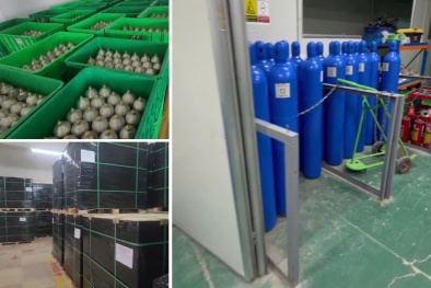 Triệt phá đường dây nhập lậu hàng nghìn tấn ‘khí cười’ từ nước ngoài về Việt Nam