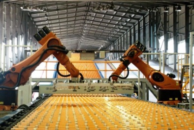 Cảnh báo rủi ro khi xuất khẩu kính nổi sang thị trường Mỹ