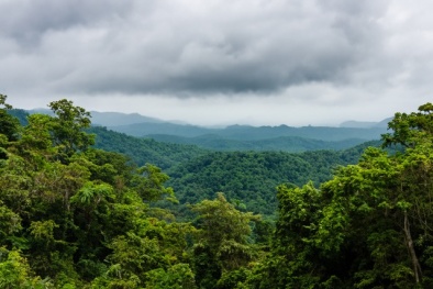 Thống nhất quy tắc giao dịch tín chỉ carbon toàn cầu để ngăn chặn tình trạng nóng lên của trái đất