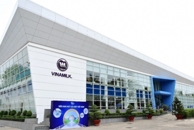 Vinamilk: Chuẩn bị bước chu kỳ tăng trưởng mới, hé lộ thời điểm chạy thương mại nhà máy chế biến thịt bò