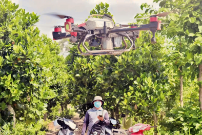 Tiền Giang: Ứng dụng khoa học công nghệ thúc đẩy nông nghiệp bền vững