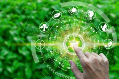 Tiêu chuẩn ISO 14001 giúp doanh nghiệp quản lý toàn diện các vấn đề về môi trường 