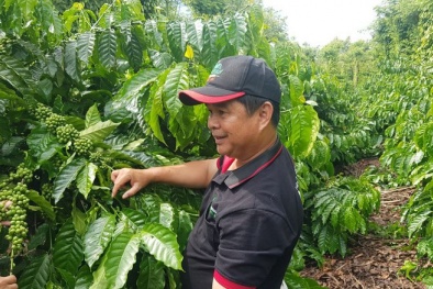 Chuyển đổi sang mô hình tăng trưởng xanh: Yêu cầu tất yếu để hội nhập và phát triển