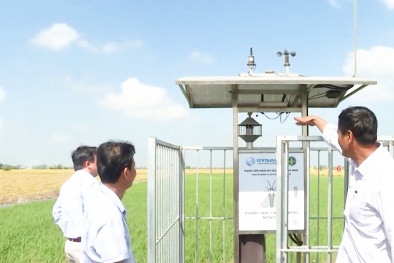 Chuyển đổi số - giải pháp then chốt nâng cao năng suất ngành nông nghiệp