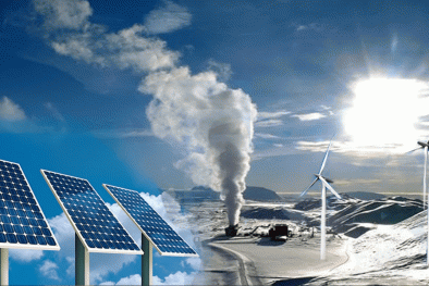 Tiêu chuẩn năng lượng sinh học - chìa khóa cho các giải pháp bền vững 