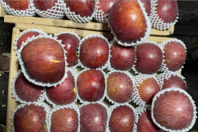 Cảnh giác với táo mật Trung Quốc giá chỉ 10 nghìn/kg được quảng cáo ngon như táo Nhật tiền triệu