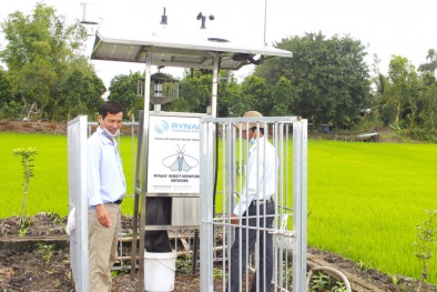 Long An: Tăng cường hỗ trợ doanh nghiệp nâng cao năng suất chất lượng sản phẩm