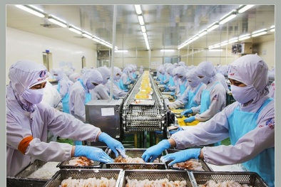 Kim ngạch xuất khẩu thủy sản 11 tháng tăng trưởng ấn tượng