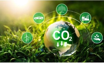 Kinh nghiệm thực tiễn vận hành thị trường carbon của một số quốc gia và bài học cho Việt Nam