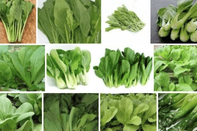 Nhiều nghiên cứu chỉ ra rau họ cải có tác dụng hỗ trợ ngăn ngừa nhiều ung thư