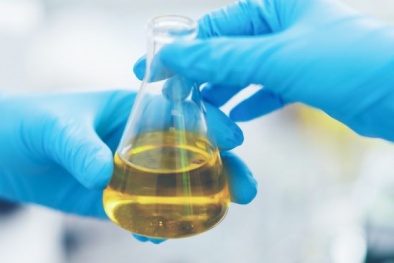 Hà Lan ban hành tiêu chuẩn nhiên liệu sinh học cho hàng hải