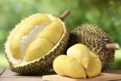 Đảm bảo tiêu chuẩn chất lượng, sầu riêng khẳng định thị phần ưu thế tại Trung Quốc