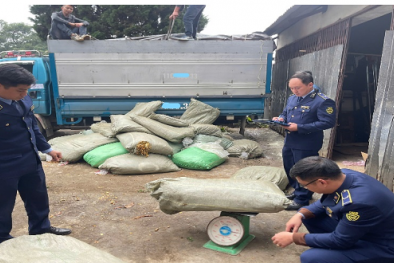 Cao Bằng liên tiếp thu giữ lượng lớn nguyên liệu thuốc lá không rõ nguồn gốc xuất xứ