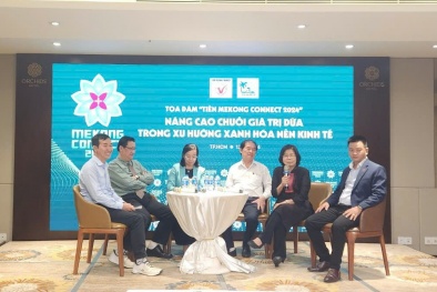 Gia tăng giá trị trái Dừa trong xu thế xanh hoá nền kinh tế