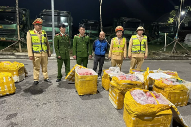 Thu giữ nội tạng hôi thối khi đang được mang đi tiêu thụ