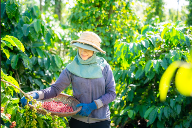 NESCAFÉ Plan được vinh danh ở hạng mục cao nhất tại Lễ trao giải thưởng Hành động vì cộng đồng 2024