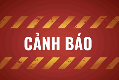 Tái diễn nhiều chiêu thức lừa đảo quốc tế mới trong tuần qua