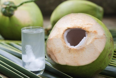 Ngành dừa Việt Nam hướng tới mục tiêu xanh hóa 